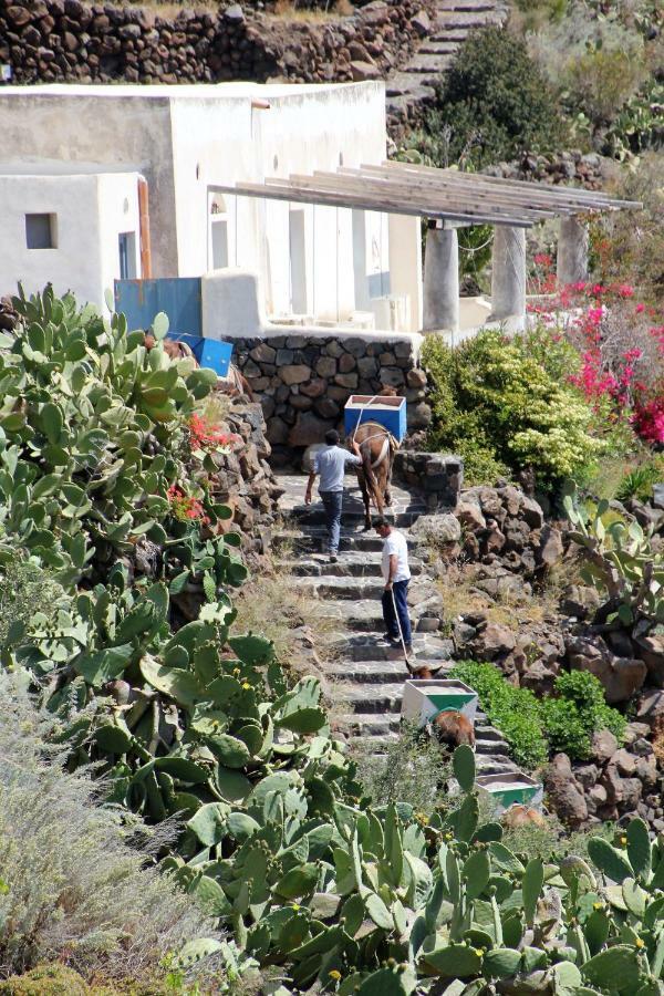 Alicudi Giardino Dei Carrubi- Al Gradino 365 Bed & Breakfast Dış mekan fotoğraf